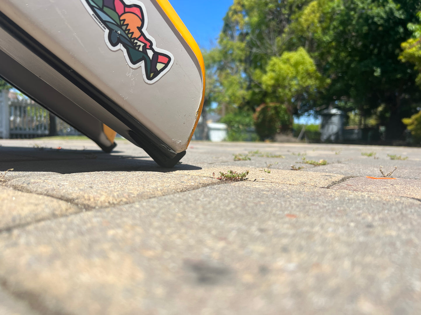 Wrap Around Rear Skids for Hobie Lynx